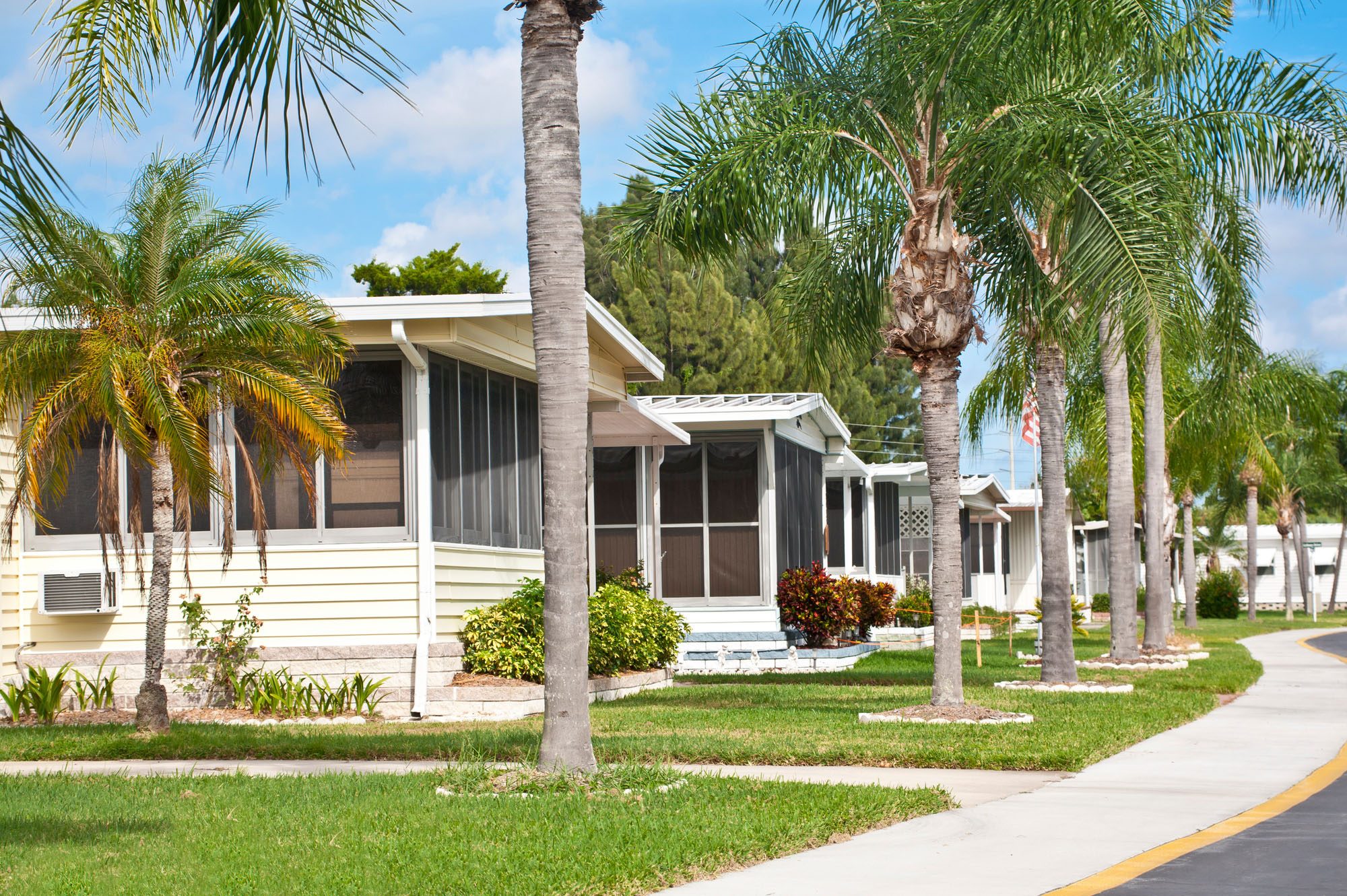 Twin Palms